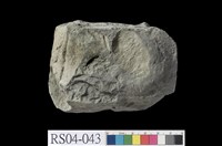 藏品(頁岩)的圖片